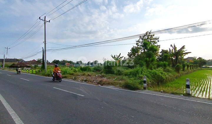 Tanah Dijual di Godean Sleman, Dekat Kampus UMY	 1