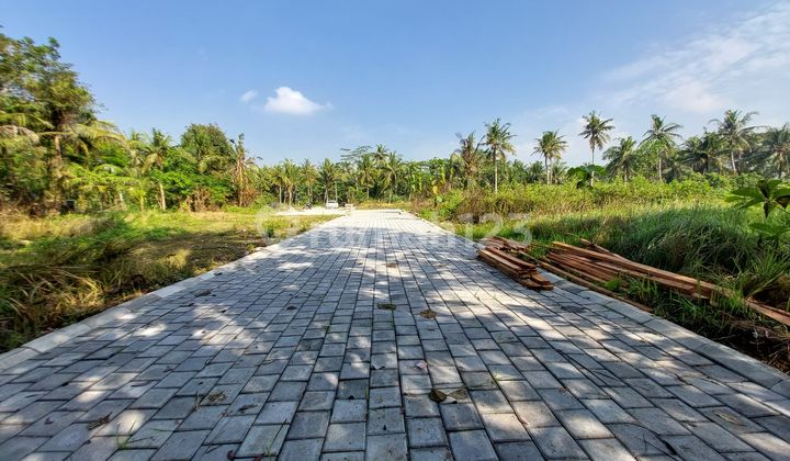 Diskon: Tanah dijual 10 Menit Bandara YIA Jogja 1