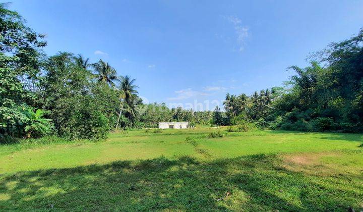 Tanah Kavling Nanggulan Kulon Progo, Dekat SMA Negeri 1 Sentolo	 1