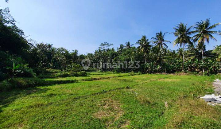 Kavling Tanah Murah di Nanggulan Kulon Progo, Dekat Sat Briop 1