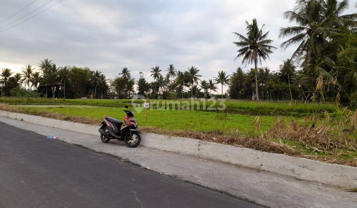 Tanah Dekat Candi Mendhut, Cocok Untuk Villa  2