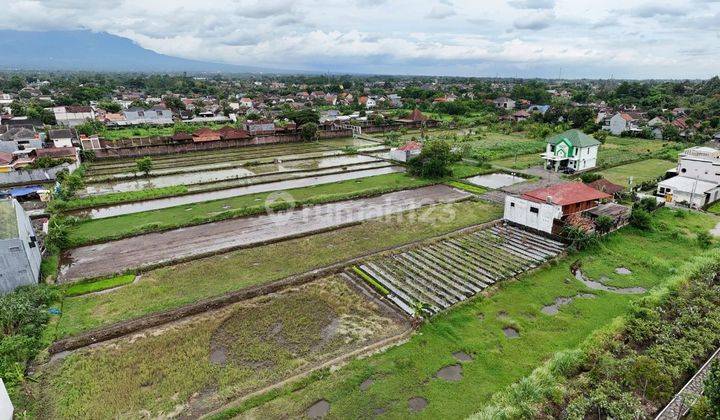 Dekat Kampus UGM Jual Tanah di Jl. Damai Sleman 1