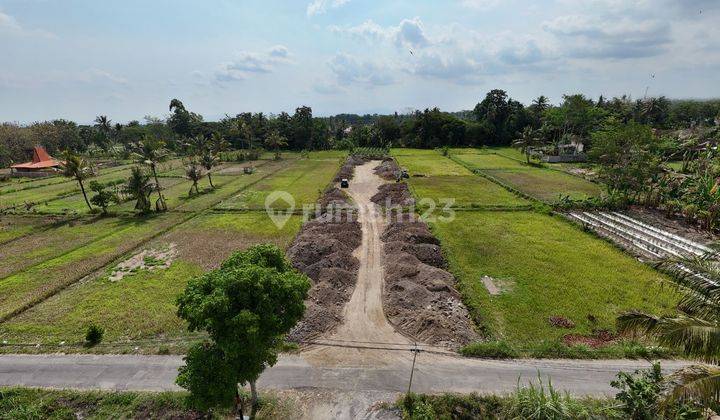 Tanah Jl. Kembangan - Rejodani, Dekat Kampus UII Yogyakarta  1