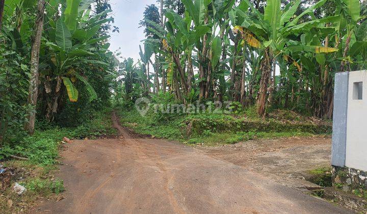 Dijual Tanah Hook Kawasan Beringin Ngaliyan SHM Ready 1