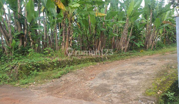 Dijual Tanah Hook Kawasan Beringin Ngaliyan SHM Ready 3