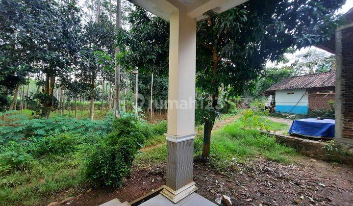 Rumah Dijual Batang, SHM Siap Balik Nama 5
