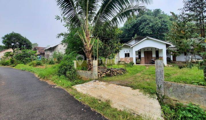 Rumah Dijual Kajen Pekalongan, Halaman Luas, Suasana Asri 2