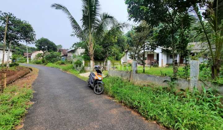 Rumah Dijual Kajen Pekalongan, Halaman Luas, Suasana Asri 4