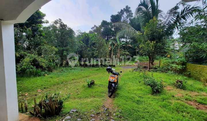 Rumah Dijual Kajen Pekalongan, Halaman Luas, Suasana Asri 6