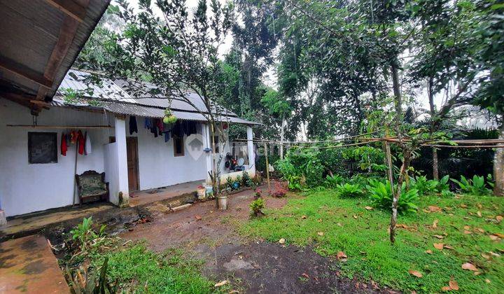 Rumah Dijual Kajen Pekalongan, Halaman Luas, Suasana Asri 7