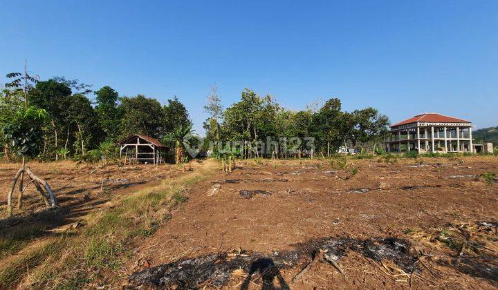 Tanah Dijual Dekat Kawasan Industri Terpadu Batang, SHM Ready 2
