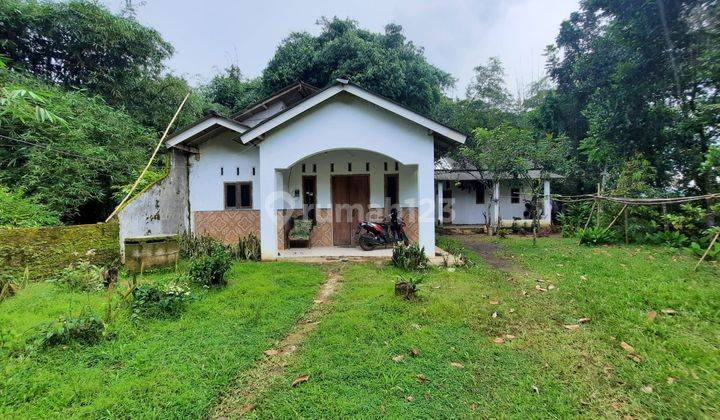 Rumah Dijual Kebonagung Kajen Pekalongan, Luas 425 M2 1