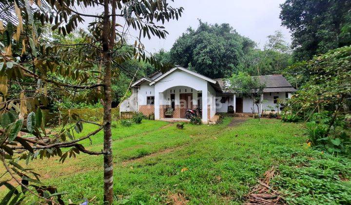 Rumah Dijual Kebonagung Kajen Pekalongan, Luas 425 M2 3