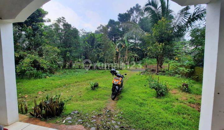 Rumah Dijual Kebonagung Kajen Pekalongan, Luas 425 M2 5