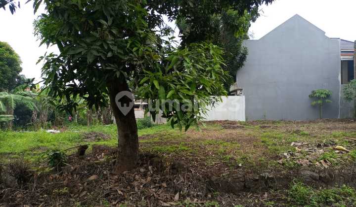 Tanah Siap Bangun di Pasadena Semarang Dekat Btp Jawa Tengah 2