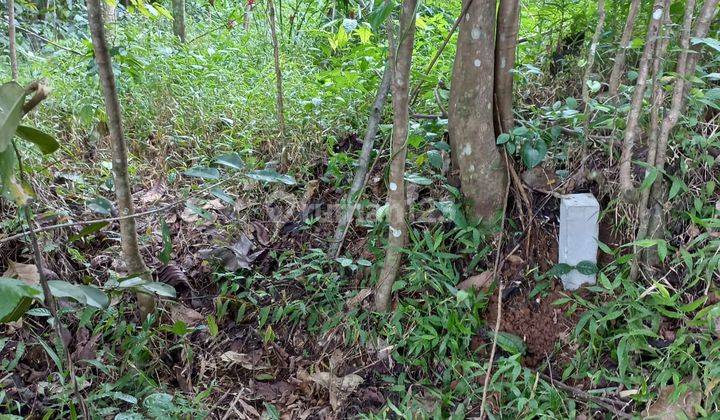 Tanah Zona Kuning Untung Suropati Ngaliyan Cocok Untuk Perumahan 2