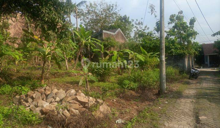 Tanah Siap Bangun Dekat Undip Tembalang, Cocok Untuk Kost, SHM 6