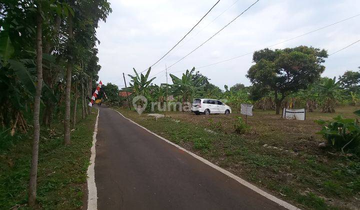  3 Menit Undip Tembalang, Tanah Kavling Strategis, Angsur Non Bunga 2
