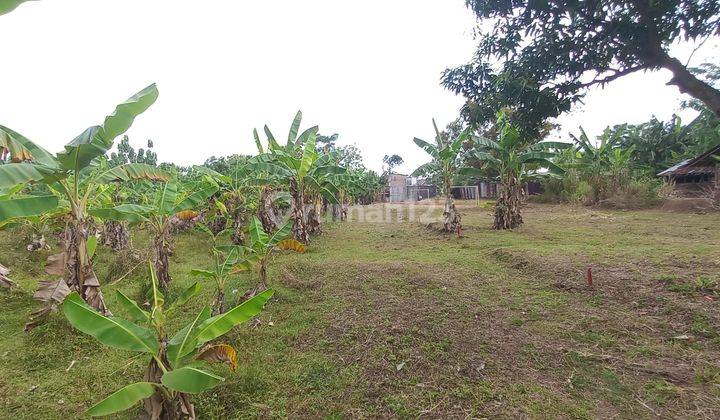  3 Menit Undip Tembalang, Tanah Kavling Strategis, Angsur Non Bunga 3