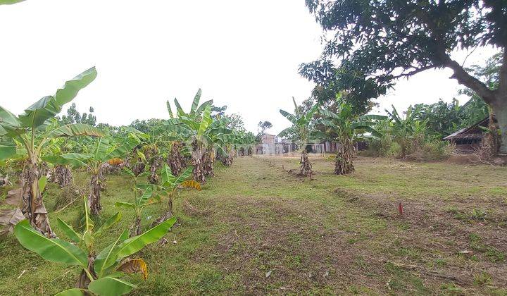  3 Menit Undip Tembalang, Tanah Kavling Strategis, Angsur Non Bunga 4