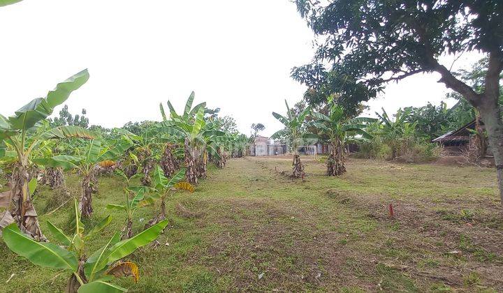  3 Menit Undip Tembalang, Tanah Kavling Strategis, Angsur Non Bunga 5