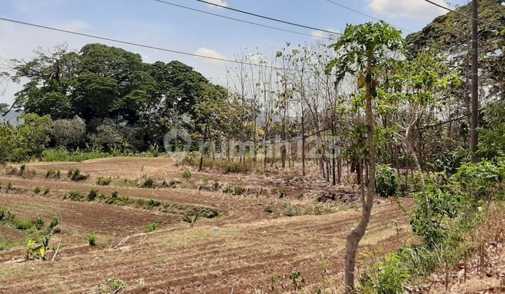 Tanah luas pinggir jalan utama nego di depan pom bensin 1