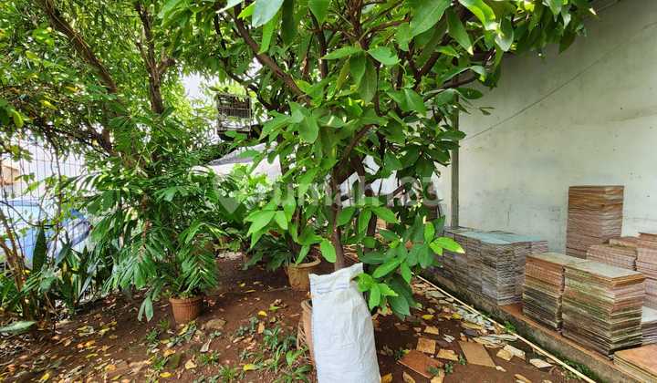 Dijual Rumah Tua Dan Kavling Siap Bangun Murah