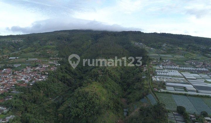 Dijual Lahan Premium 10 Hektar Lembang, Bandung
