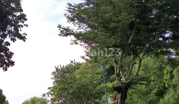 Intercon House 460M2 Quick Sale Open 10.5M Negotiable Until Deal 2