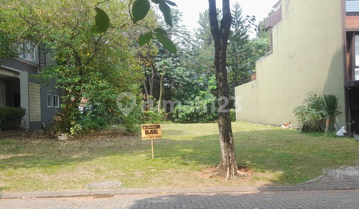 For Sale Cluster Collinare Plot in Foresta Area, BSD City, Land Area 325m², Price IDR 13.5M/m². For Sale Cluster Collinare Plot in Foresta Area, BSD City, Land Area 325m², Price IDR 13.5M/m².