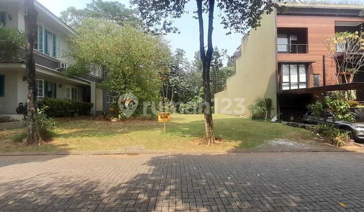 For Sale Cluster Collinare Plot in Foresta Area, BSD City, Land Area 325m², Price IDR 13.5M/m². For Sale Cluster Collinare Plot in Foresta Area, BSD City, Land Area 325m², Price IDR 13.5M/m².