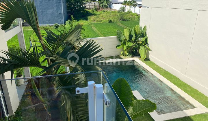 Villa Cantik Di Canggu Bali Fully Furnished