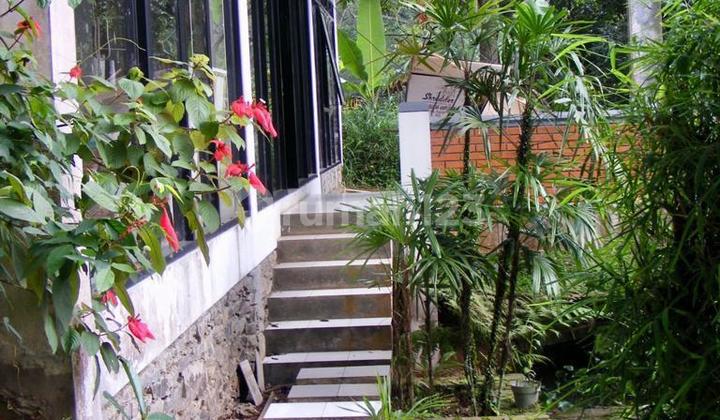 Rumah Cocok Untuk Villa Atau Cafe Rumah Cocok Untuk Villa Atau Cafe