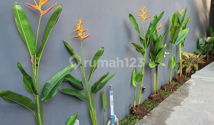 Rumah Baru Cantik Dan Harga Dibawah Pasaran Di Cilandak Jakarta Selatan 2