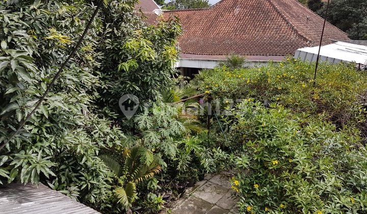 Rumah Cocok Untuk Usaha Di Jl. Purnawarman Bandung 2