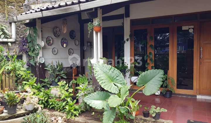 House Suitable For Business