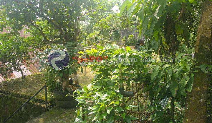 Dijual Tanah beserta bangunan di Peguyangan Kangin, Denpasar. 8