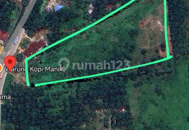 For Sale 18,599m2 Land in Pangkalan Kerinci, Pelalawan. For Sale 18,599m2 Land in Pangkalan Kerinci, Pelalawan.