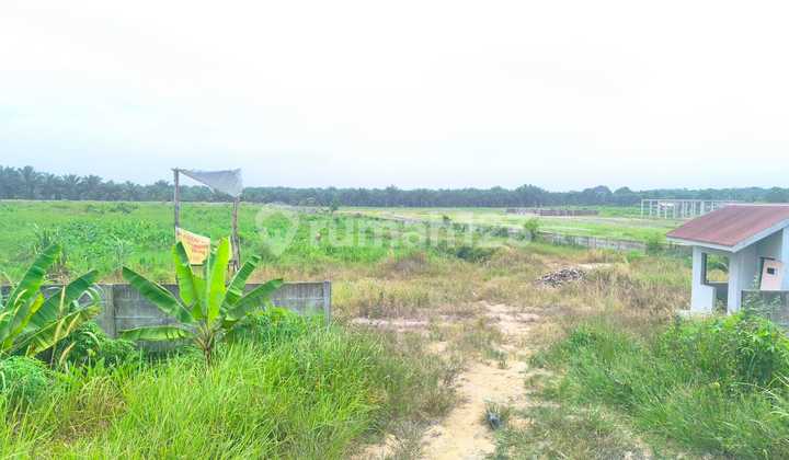 For Sale 18,599m2 Land in Pangkalan Kerinci, Pelalawan. For Sale 18,599m2 Land in Pangkalan Kerinci, Pelalawan.