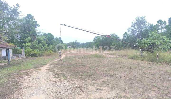 Land for Sale Ready to Build 30,211 M2 in Pangkalan Kerinci, Pelalawan Land for Sale Ready to Build 30,211 M2 in Pangkalan Kerinci, Pelalawan