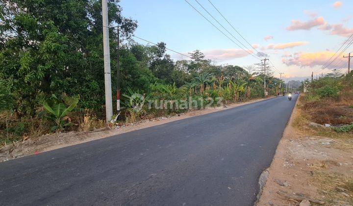 Tanah SHM luas 1.6Ha Moncongloe, pinggir jalan, cocok untuk Perumahan 1