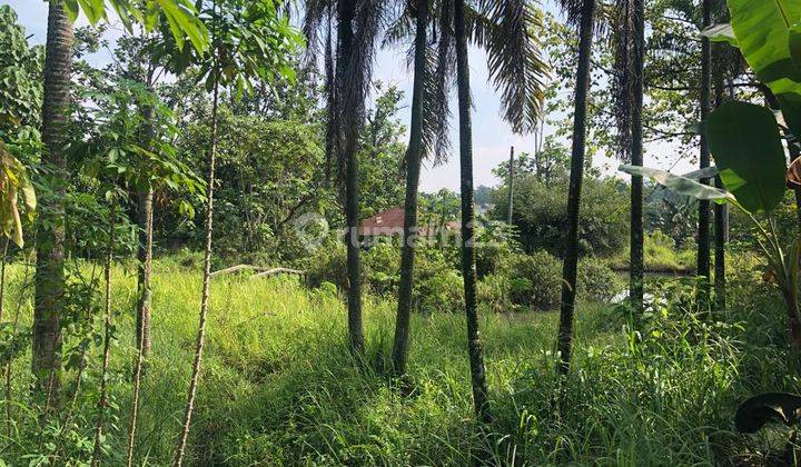 Dijual Tanah Luas Lokasi Strategis Bebas Banjir Di Bintaro, Jakarta Selatan 1