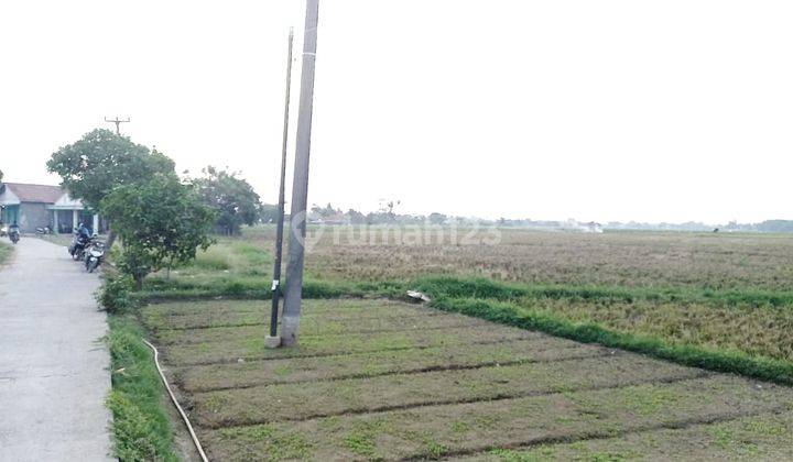 Dijual Cepat Bu Tanah Hamparan Sawah di Tambun 3 Bagian, Samudra Jaya, Bekasi. 1