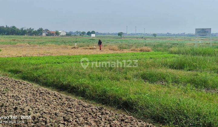 Dijual Cepat tanah persawahan Kedung Pengawas, Babelan, Bekasi 1