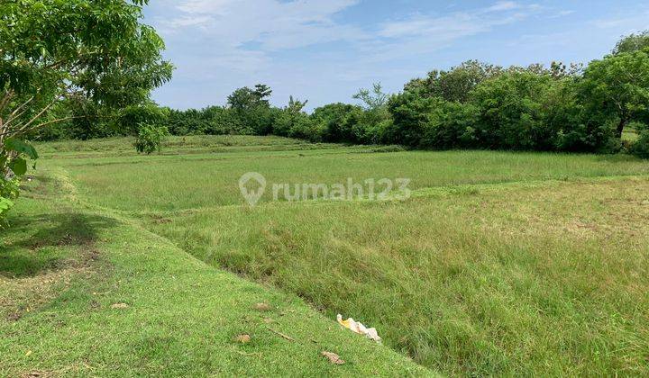  Tanah Freehold  SHM - Sertifikat Hak Milik 1.75 HA  di LC Perancak, Perancak 6