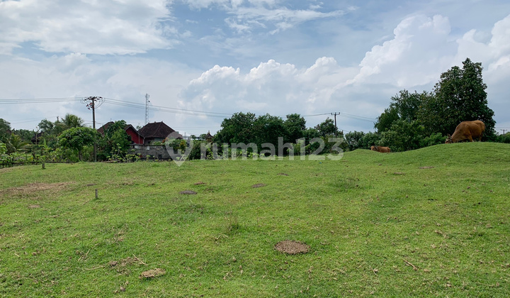  Tanah Freehold  SHM - Sertifikat Hak Milik 1.75 HA  di LC Perancak, Perancak 8