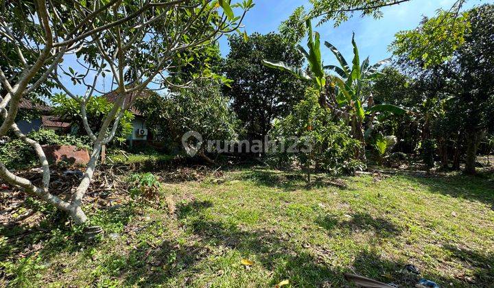 Cheap Price Land Leasehold At North Canggu Tuka Village 32 Are  2