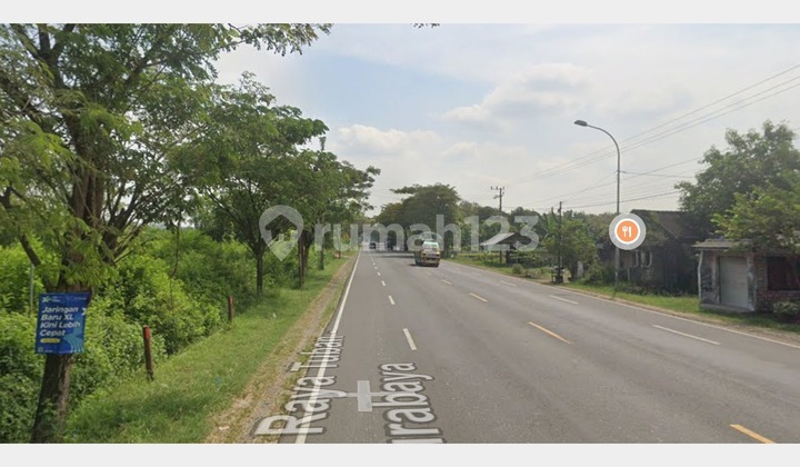 Ldp 0093 Dijual Murah Tanah Strategis 0 Jalan Raya Tuban Jawa Timur, Cocok untuk Dibangun Pabrik