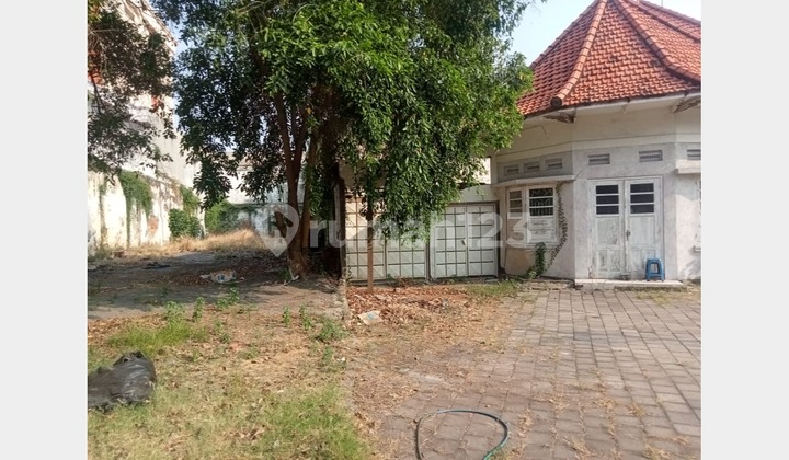 LJM 006 Rumah Area Komersial Surabaya Pusat, Cocok Untuk Dibangun Hotel, Cafe, Restoran, Klinik Kecantikan 2