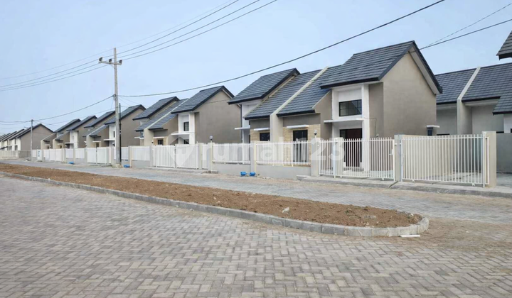 Lp Rumah Murah One Gate System Harga Start 500 Jutaan Saja! Lokasi Waru Sidoarjo Lp Rumah Murah One Gate System Harga Start 500 Jutaan Saja! Lokasi Waru Sidoarjo